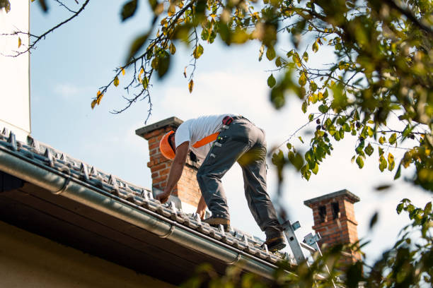 Best Flat Roof Repair Services  in New Holstein, WI