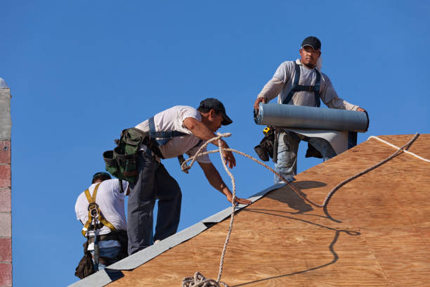 Best Best Roofing Contractors  in New Holstein, WI