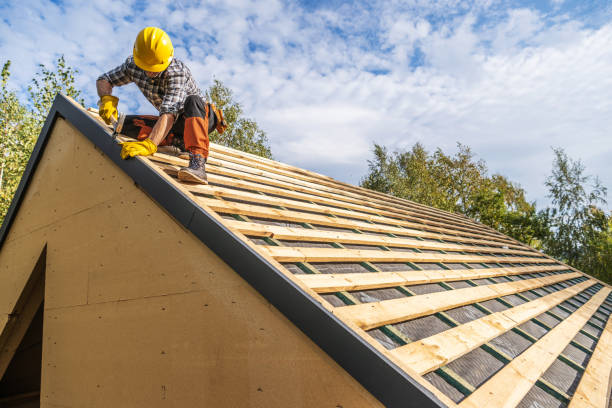 Best Storm Damage Roof Repair  in New Holstein, WI