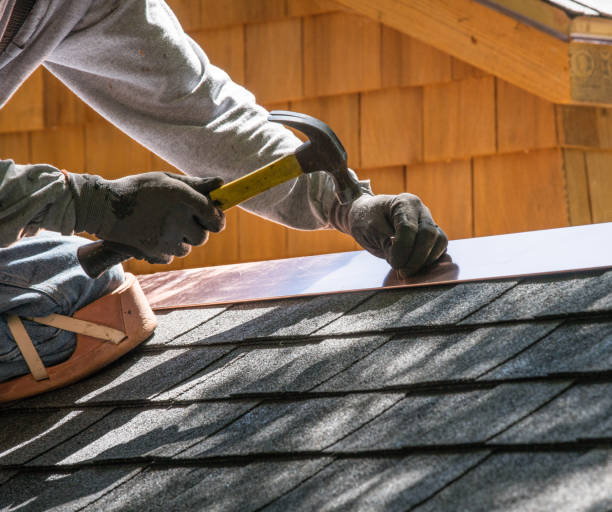 Best Roof Gutter Cleaning  in New Holstein, WI